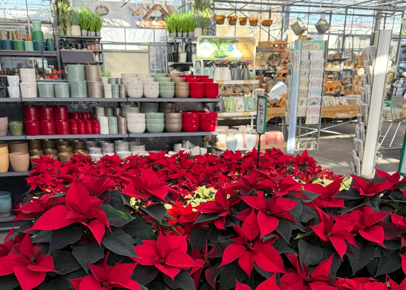 Monheimer Blumenmarkt